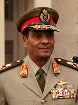 Chairman of the Egyptian Military Council, Field Marshal Mohamed HusseinTantawi