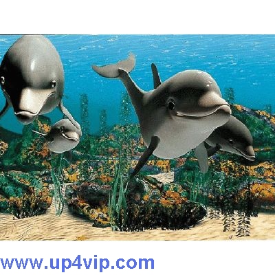 01-delphi1.jpg Hosting at Sudaneseonline.com