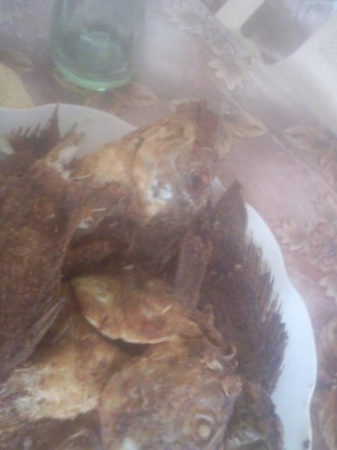 079.jpg Hosting at Sudaneseonline.com