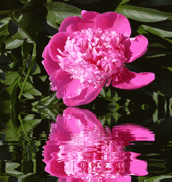 174269yaujwhsozm.gif Hosting at Sudaneseonline.com