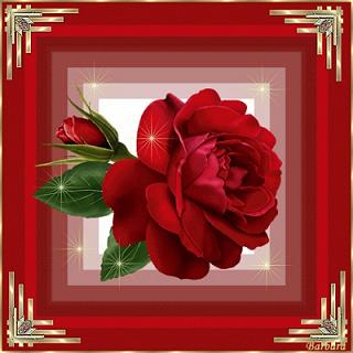 195.jpg Hosting at Sudaneseonline.com