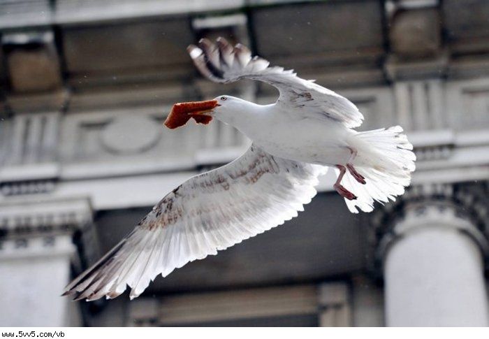 200902147268.jpg Hosting at Sudaneseonline.com