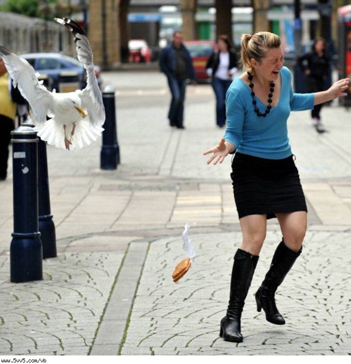 200902149545.jpg Hosting at Sudaneseonline.com