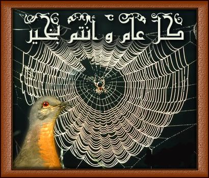 4833472200514xcard01expgt3sudan1sudan.jpg Hosting at Sudaneseonline.com