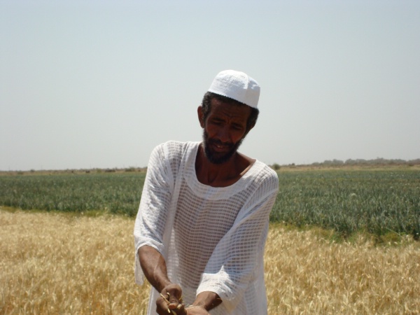 524.jpg Hosting at Sudaneseonline.com