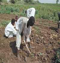 551.jpg Hosting at Sudaneseonline.com