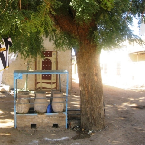 558.JPG Hosting at Sudaneseonline.com