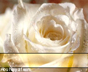 59a553413e.gif Hosting at Sudaneseonline.com