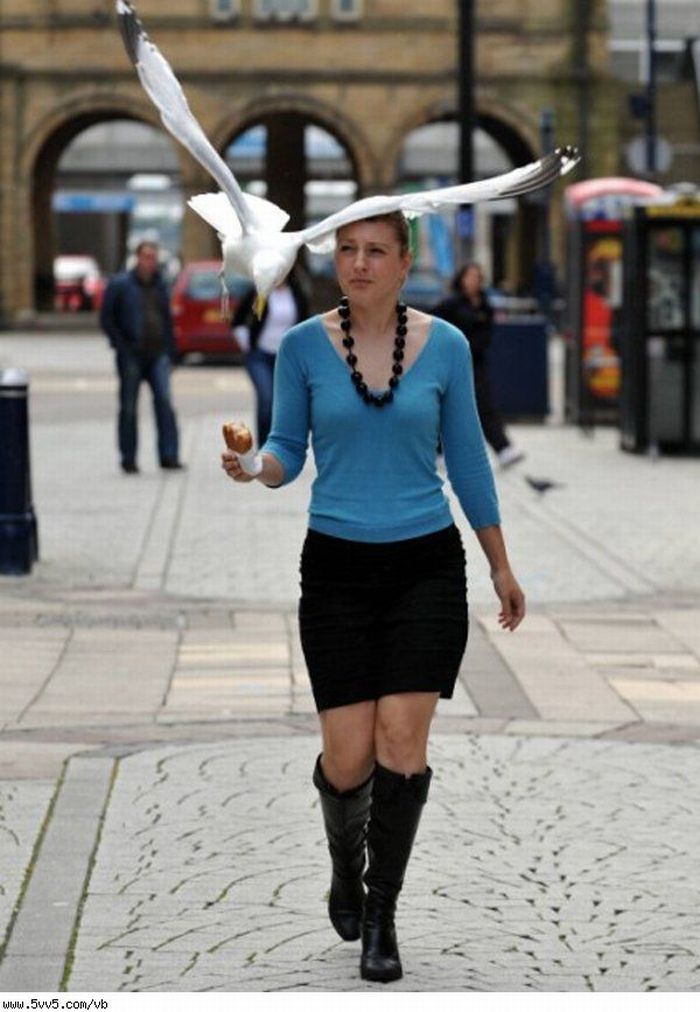 704.jpg Hosting at Sudaneseonline.com