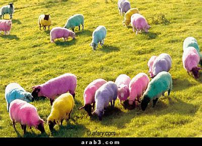 7777.jpg Hosting at Sudaneseonline.com