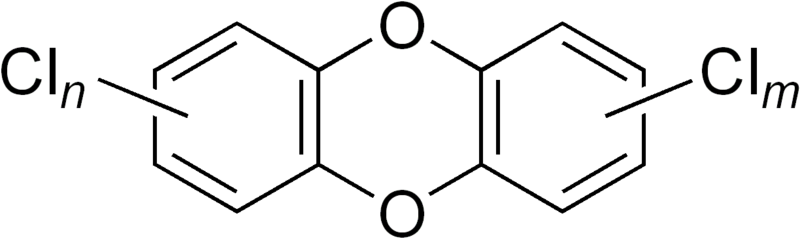 800px-PCDD_general_structure.png Hosting at Sudaneseonline.com