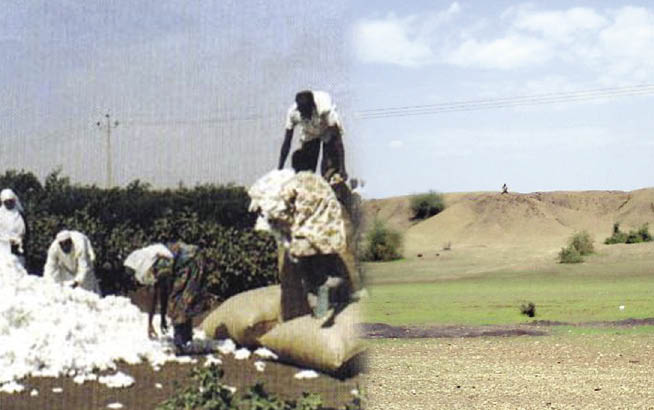 809.jpg Hosting at Sudaneseonline.com