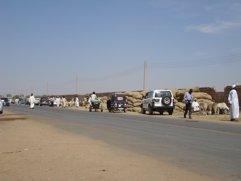 DSC01548.jpg Hosting at Sudaneseonline.com
