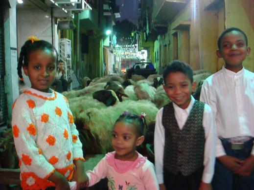 DSC05672.JPG Hosting at Sudaneseonline.com