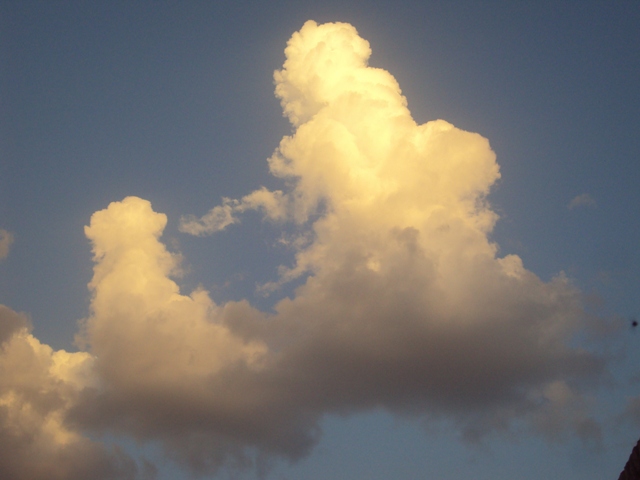 DSC15.JPG Hosting at Sudaneseonline.com