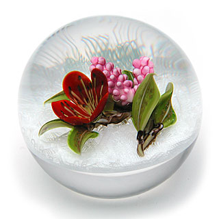 DavidandJonTrabucco-501-114952.jpg Hosting at Sudaneseonline.com