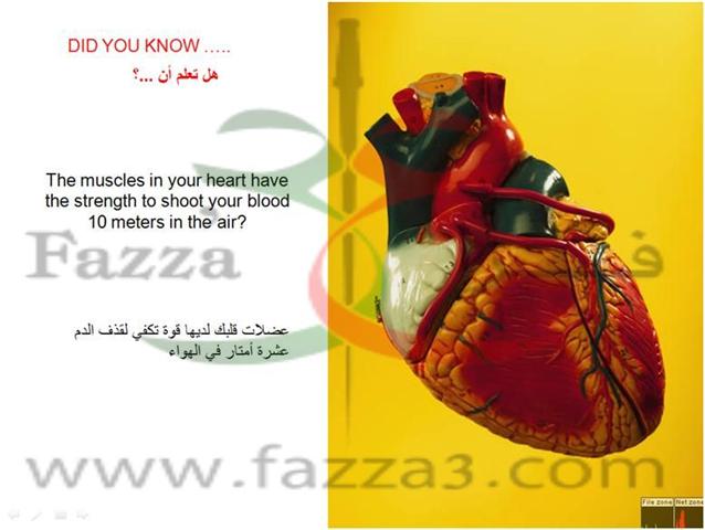 Hart.jpg Hosting at Sudaneseonline.com
