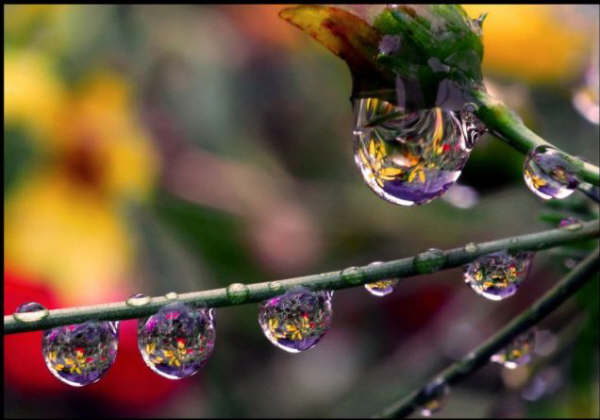 Imagesudan2000-206.jpg Hosting at Sudaneseonline.com