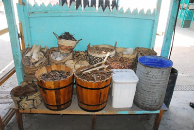 Shela5.jpg Hosting at Sudaneseonline.com