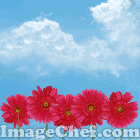anm5ae802b62d1a6106.gif Hosting at Sudaneseonline.com