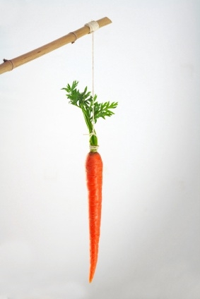 carrot.jpg Hosting at Sudaneseonline.com