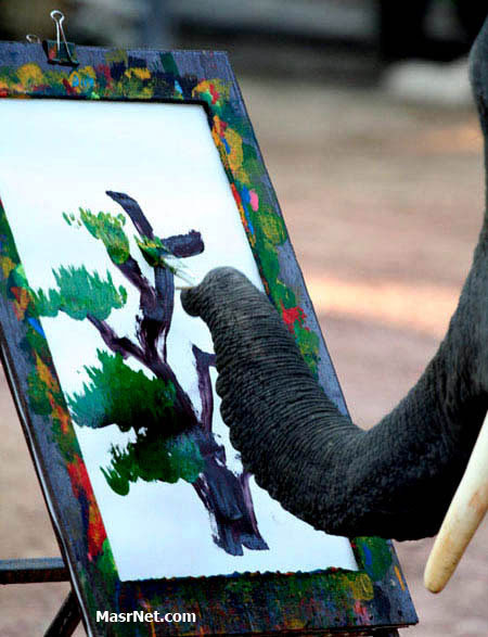 elevant_tayland4.jpg Hosting at Sudaneseonline.com