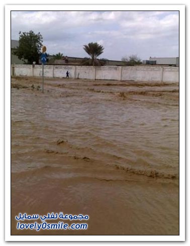 jed11.jpg Hosting at Sudaneseonline.com
