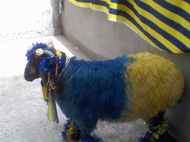 jp25x3yf8joi58gug9w0.jpg Hosting at Sudaneseonline.com