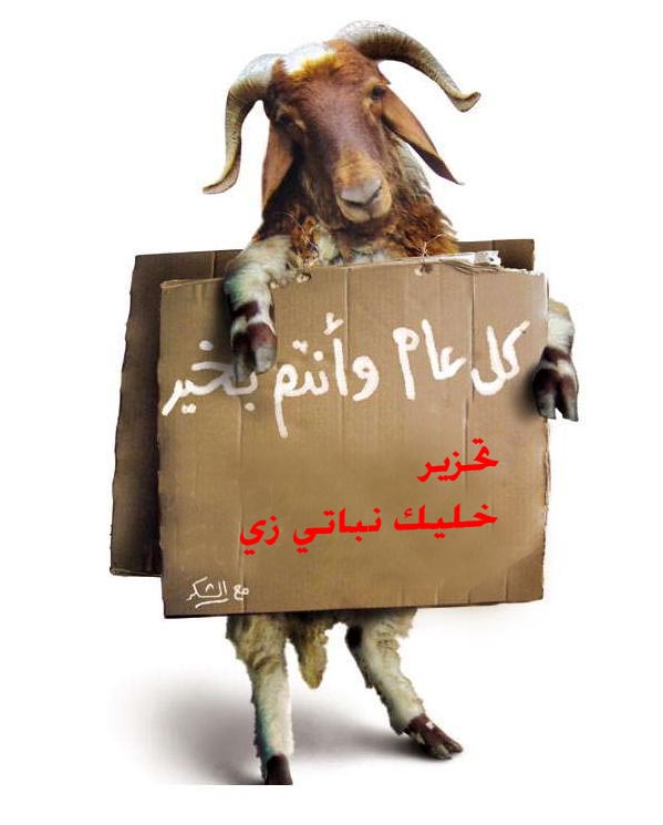 kharoof2.jpg Hosting at Sudaneseonline.com