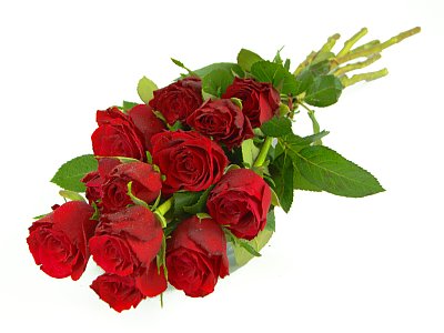 romantic-red-roses-11.jpg Hosting at Sudaneseonline.com