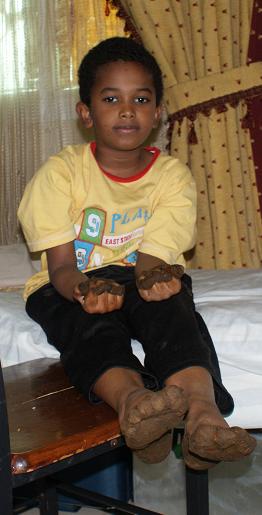 sofihinna.jpg Hosting at Sudaneseonline.com