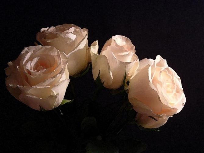 sudansudansudan18.jpg Hosting at Sudaneseonline.com