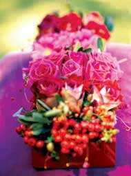 sudansudansudan30.jpg Hosting at Sudaneseonline.com