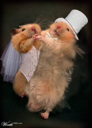 sudansudansudansudansudan130.jpg Hosting at Sudaneseonline.com