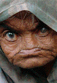 sudansudansudansudansudansudansudansudansudan5.gif Hosting at Sudaneseonline.com