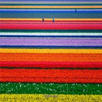 sudansudansudansudansudansudansudansudansudansudan23.jpg Hosting at Sudaneseonline.com