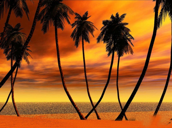 t3as0841.jpg Hosting at Sudaneseonline.com