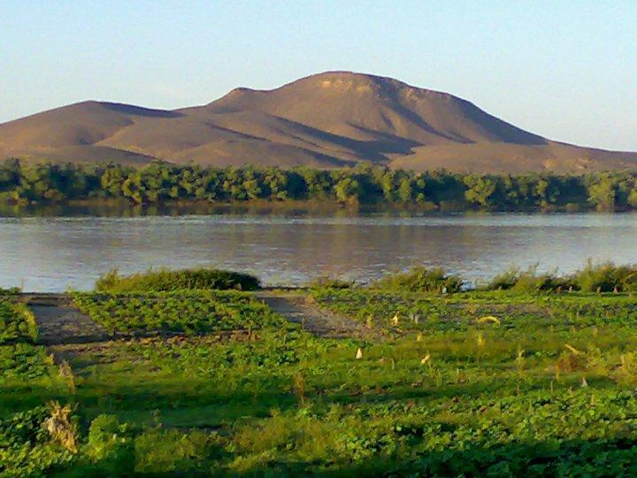 1014.JPG Hosting at Sudaneseonline.com