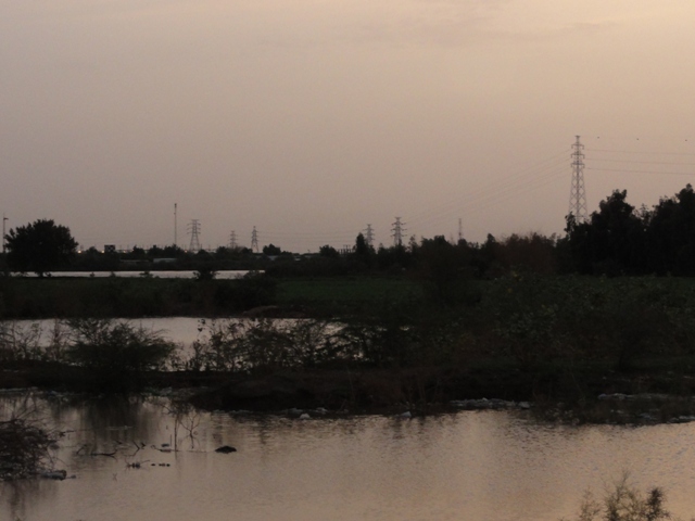 11.JPG Hosting at Sudaneseonline.com