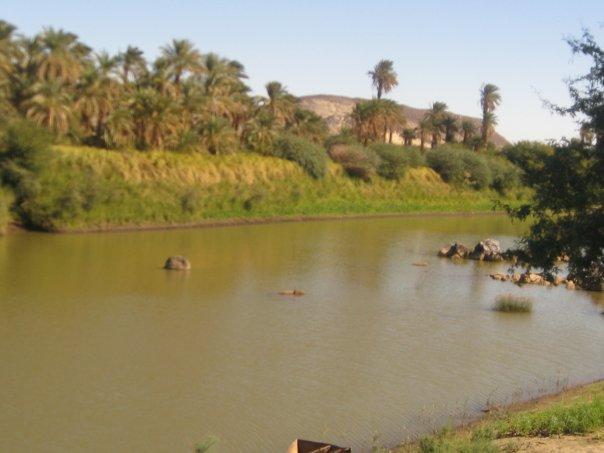 12sudan15sudan1.JPG Hosting at Sudaneseonline.com