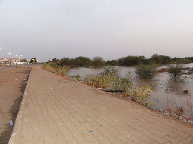 13.JPG Hosting at Sudaneseonline.com