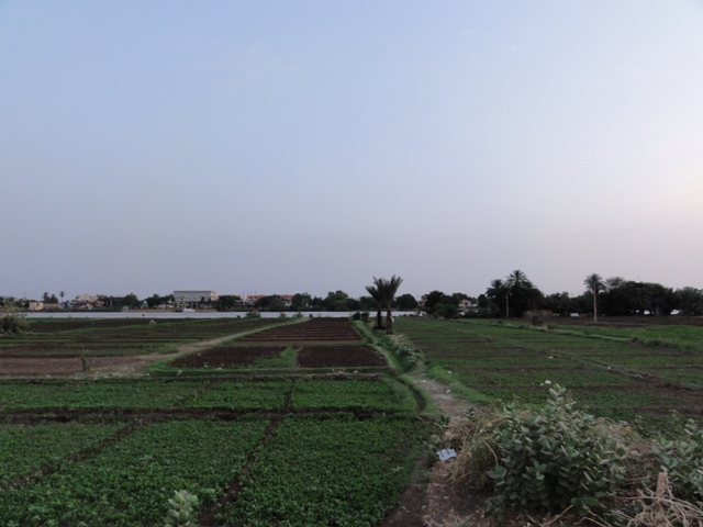 14.JPG Hosting at Sudaneseonline.com