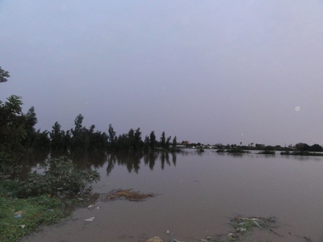 147.JPG Hosting at Sudaneseonline.com