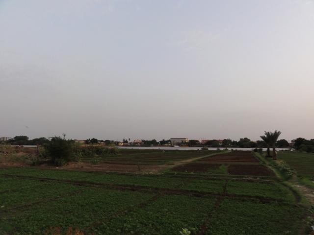 15.JPG Hosting at Sudaneseonline.com