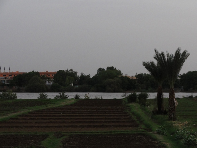 16.JPG Hosting at Sudaneseonline.com