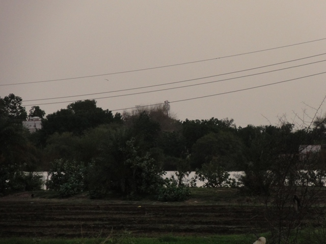 17.JPG Hosting at Sudaneseonline.com