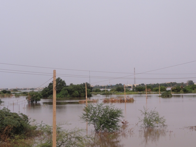 177.JPG Hosting at Sudaneseonline.com