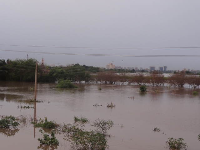 178.JPG Hosting at Sudaneseonline.com