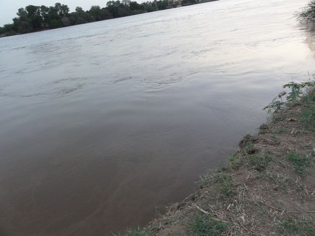 20.JPG Hosting at Sudaneseonline.com