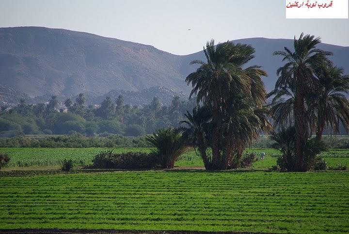 273.JPG Hosting at Sudaneseonline.com